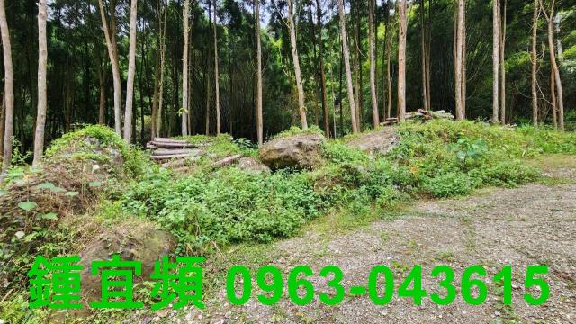 新竹北埔農地-11