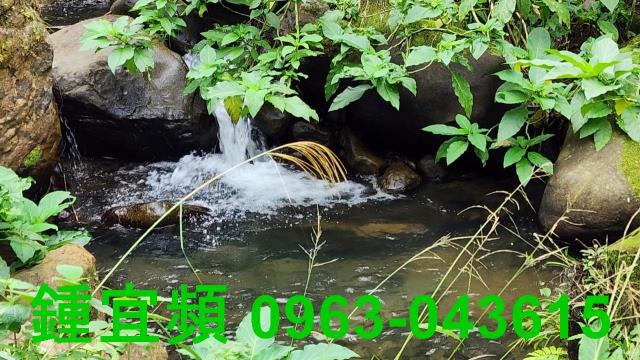 新竹北埔農地-2