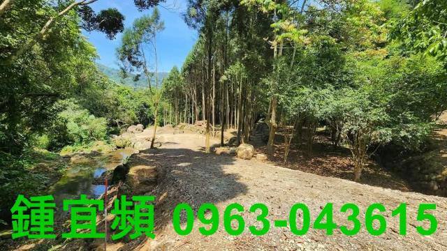 新竹北埔農地-4