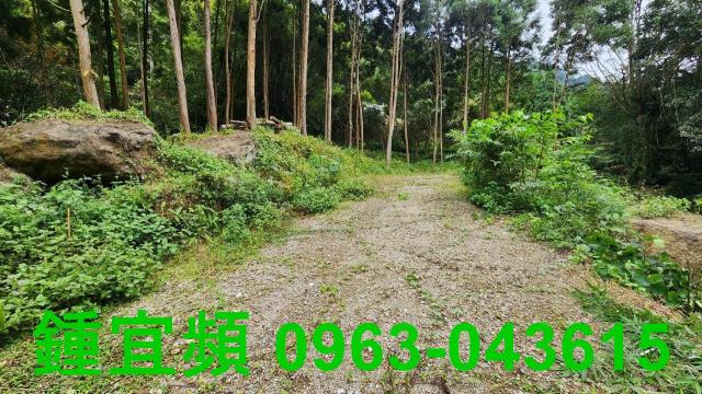新竹北埔農地-7