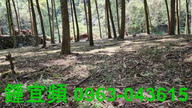 新竹北埔農地-8