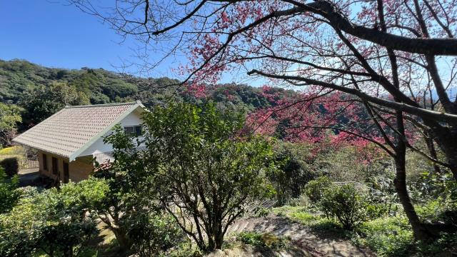 芎林農地-9