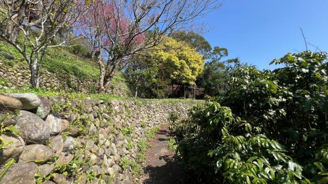 芎林農地-12