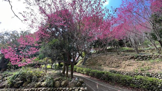 芎林農地-0