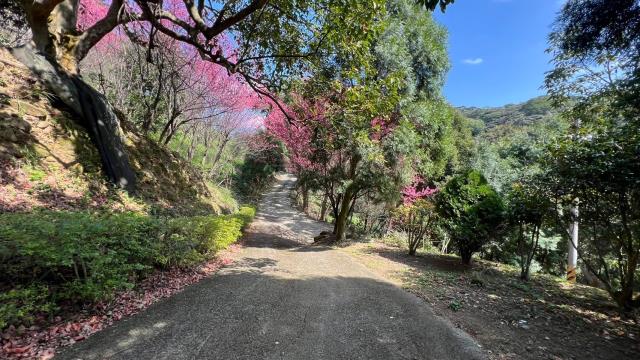 芎林農地-2
