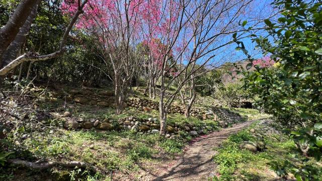 芎林農地-6