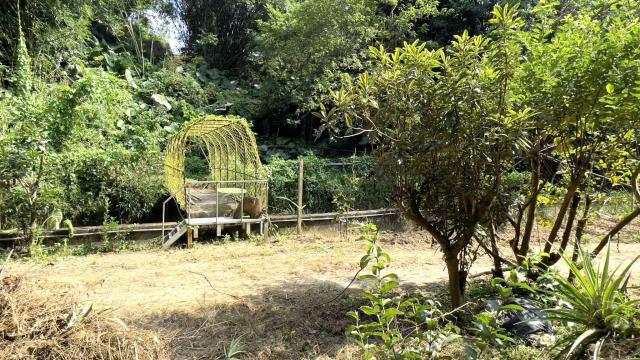 新竹農地-13