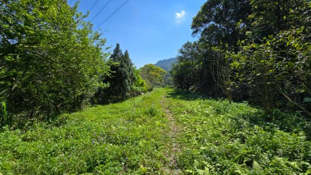 北埔農地-5