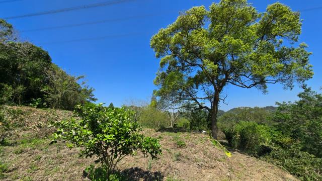 北埔農地-6