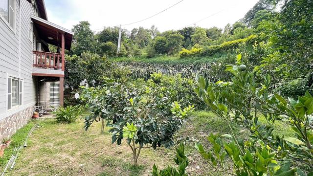 新竹峨眉農地-9