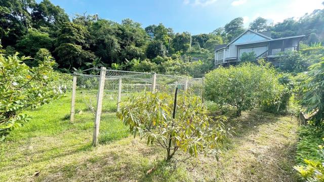新竹峨眉農地-11