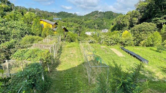 新竹峨眉農地-5