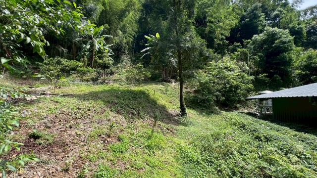 新竹橫山山坡地-11
