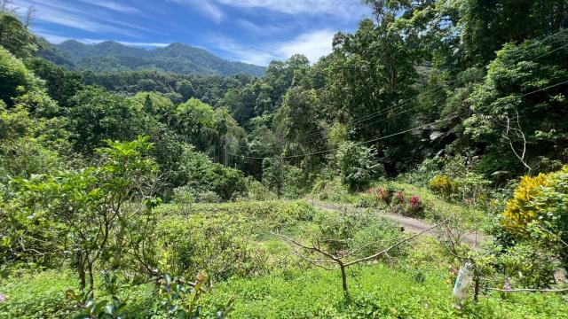 新竹橫山山坡地-4