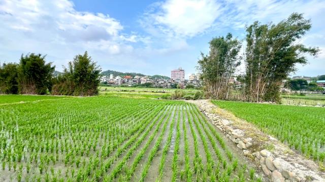 芎林農地-1