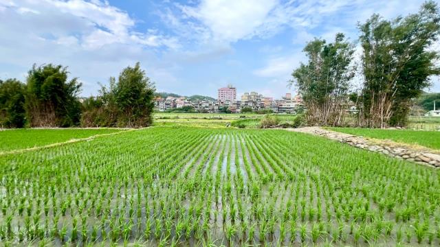 芎林農地-2