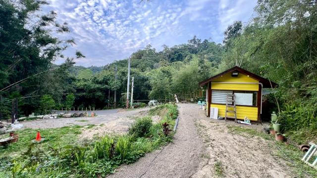 北埔農地-5