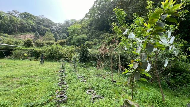 苗栗三灣農地-13