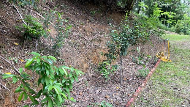 新竹北埔山坡地-9