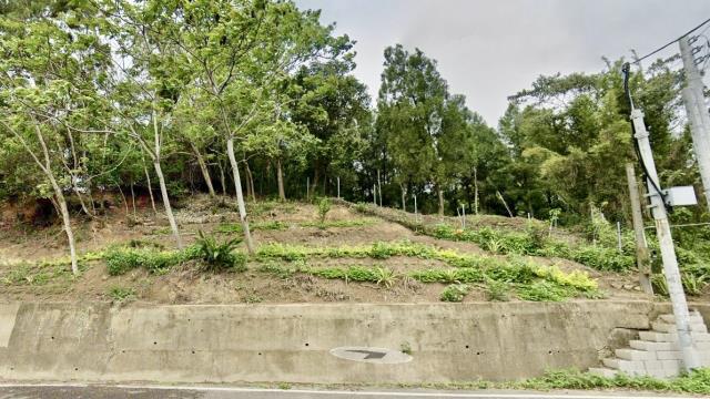 新竹北埔山坡地-14