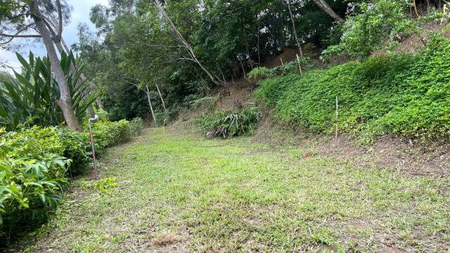 新竹北埔山坡地-1