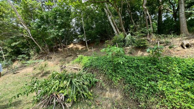 新竹北埔山坡地-3