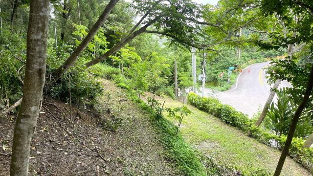 新竹北埔山坡地-7