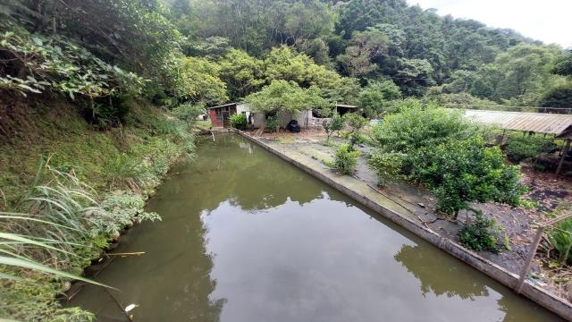 橫山農地-5