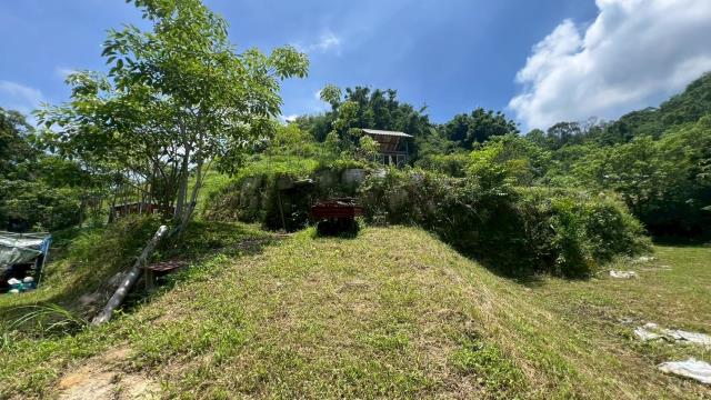苗栗農地-2