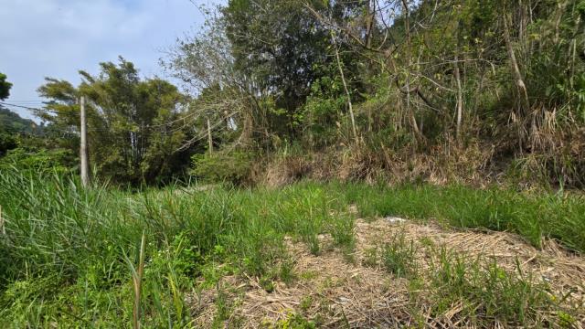 新竹北埔農地-4