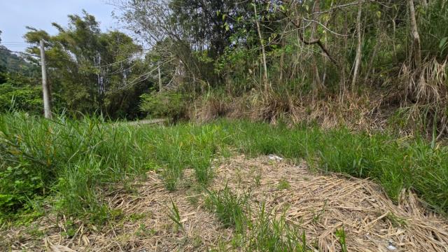 新竹北埔農地-6