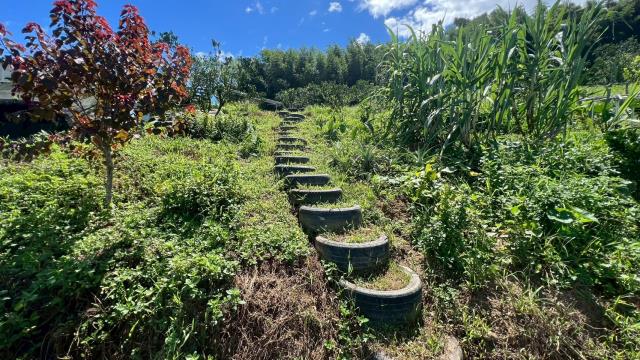 新竹峨眉農地-12