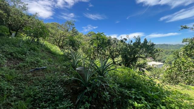 新竹峨眉農地-5