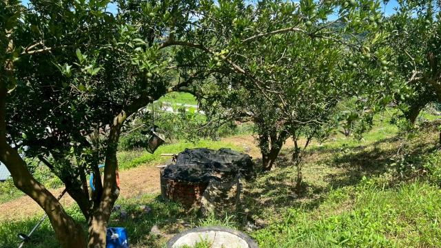 新竹峨眉農地-7