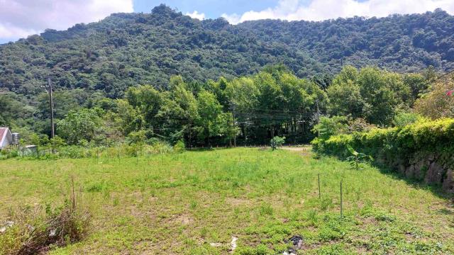 新竹橫山農地-1