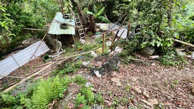 新竹竹東農地-12