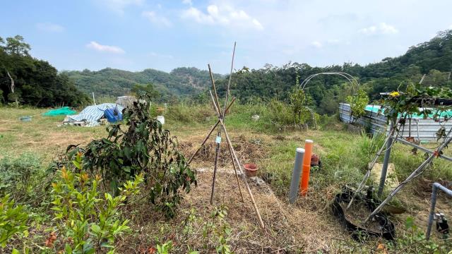 新竹寶山農地-4