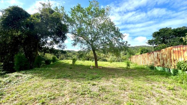 新竹竹東農地-4