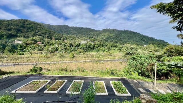 新竹橫山農地-14