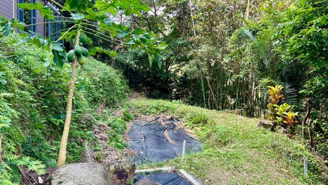 新竹橫山農地-7