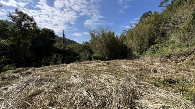 新竹關西建地-0