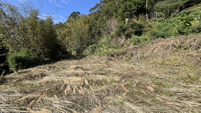 新竹關西建地-1