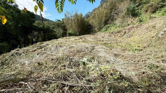 新竹關西建地-5