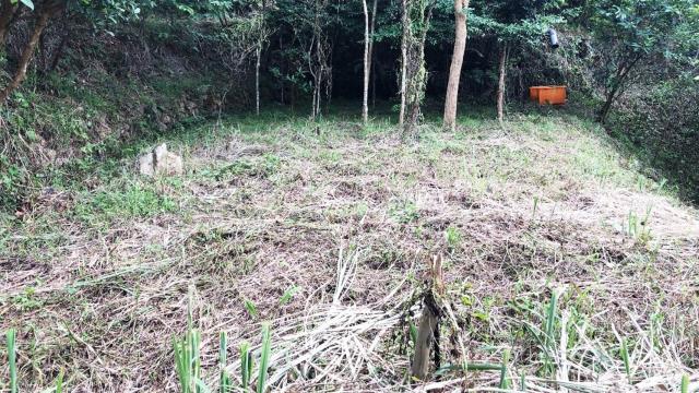 新竹關西農地-10