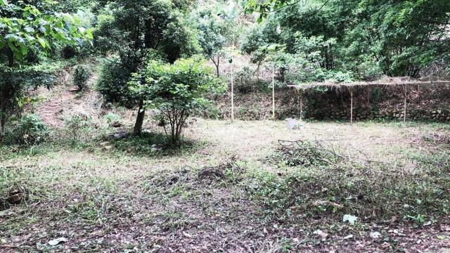 新竹關西農地-5