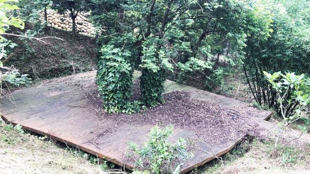 新竹關西農地-7