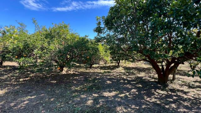 苗栗頭份農地-4