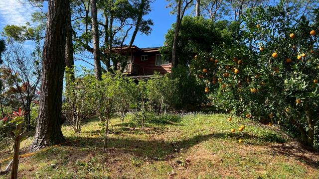 新竹北埔山坡地-8