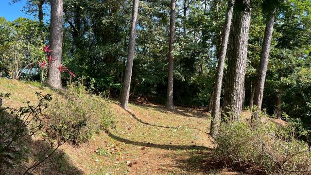 新竹北埔山坡地-13