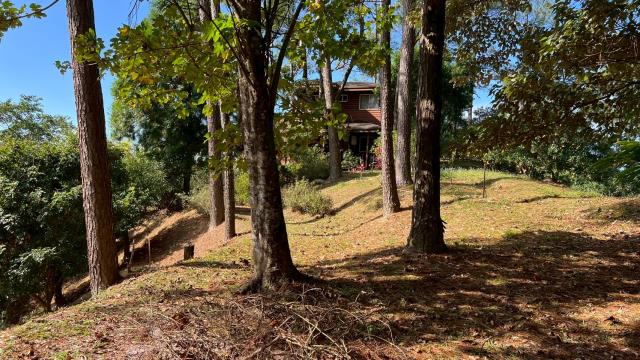 新竹北埔山坡地-7